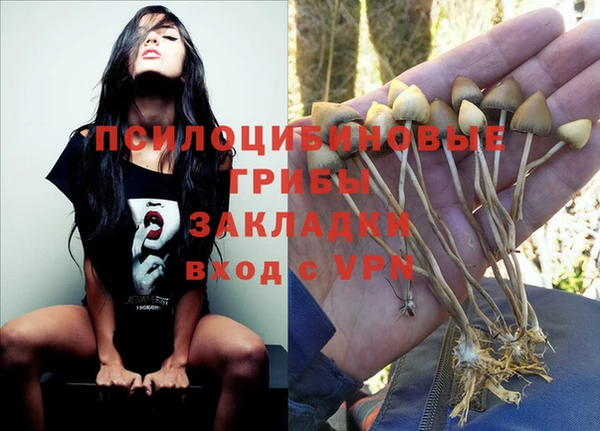 первитин Абинск