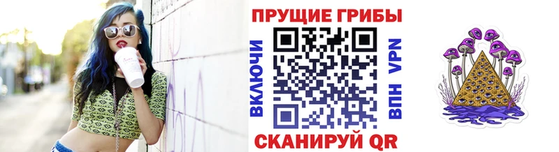 Псилоцибиновые грибы Psilocybine cubensis  Агидель 